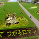 Illustration for article titled Another year of magnificent illustrations made with blossoming rice
